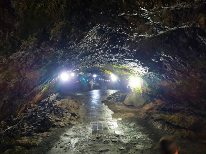 👣3박 4일 제주도 뚜벅이 여행👣 - 1일 차 | 인스티즈