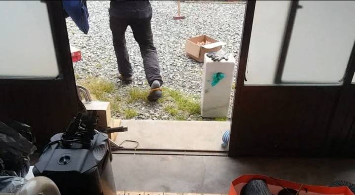 어머냥이 눈치보면서 냥이집 청소하는 아저씨ㅋㅋㅋ.jpg | 인스티즈