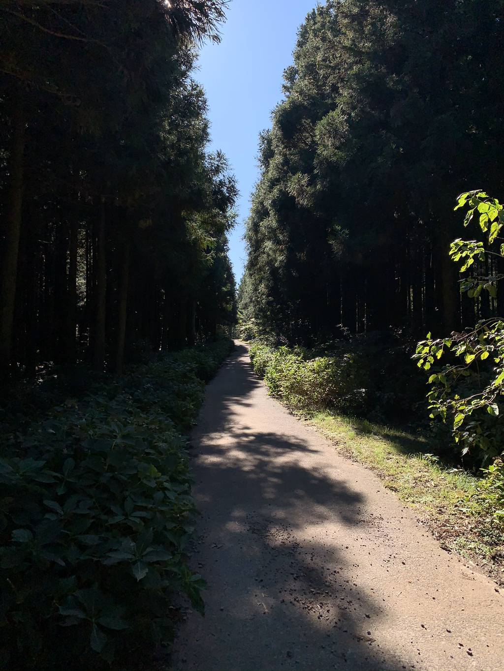 제주도 여행 마지막 날.. | 인스티즈