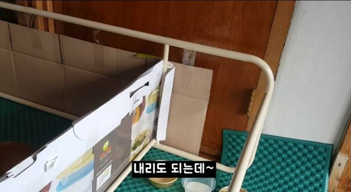 어머냥이 눈치보면서 냥이집 청소하는 아저씨ㅋㅋㅋ.jpg | 인스티즈