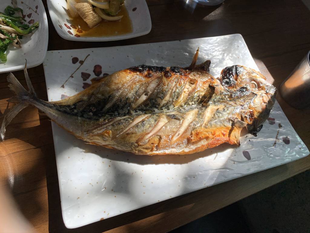 제주도 여행 마지막 날.. | 인스티즈