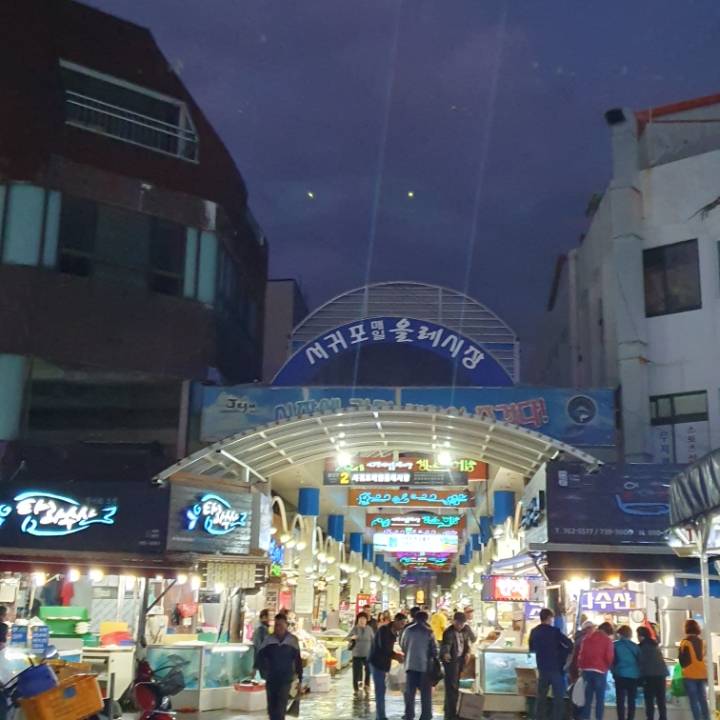 👣3박 4일 제주도 뚜벅이 여행👣 - 1일 차 | 인스티즈