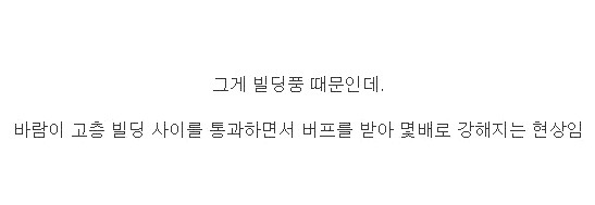 부산 바닷가에 태풍이 불면 난리나는 이유 | 인스티즈