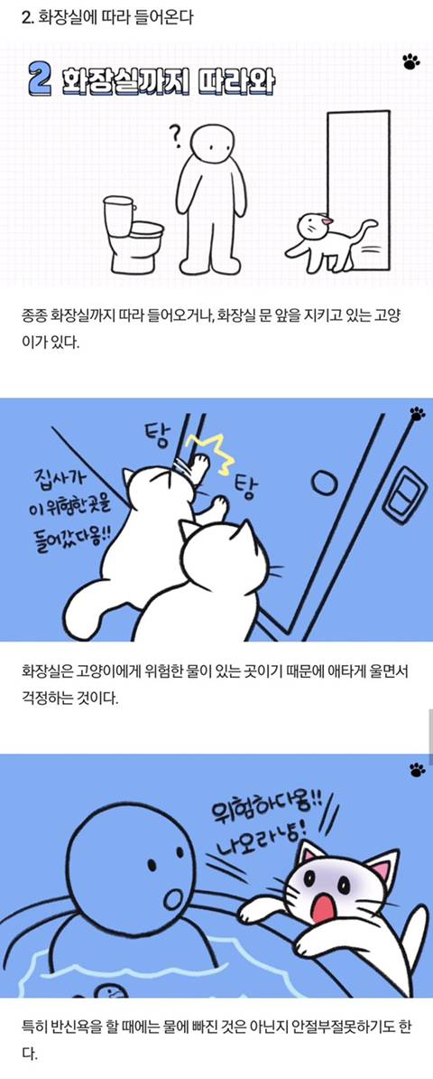 고양이가 당신을 아기로 여긴다는 증거 | 인스티즈