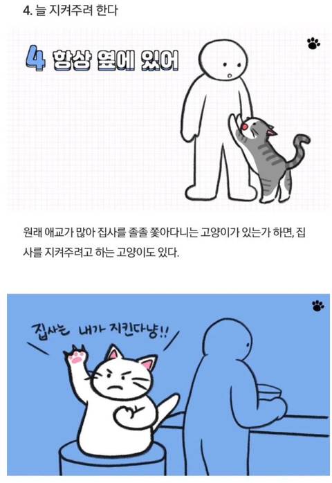 고양이가 당신을 아기로 여긴다는 증거 | 인스티즈