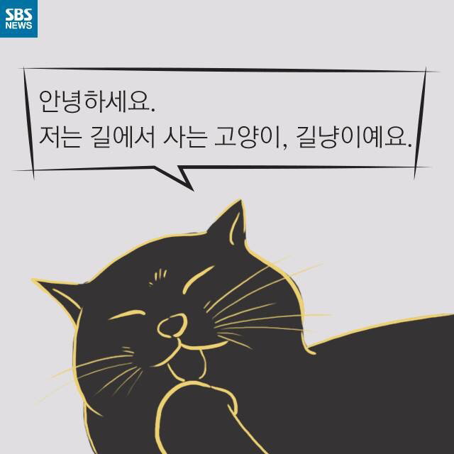 길 고양이가 뚱뚱한 이유..jpg | 인스티즈