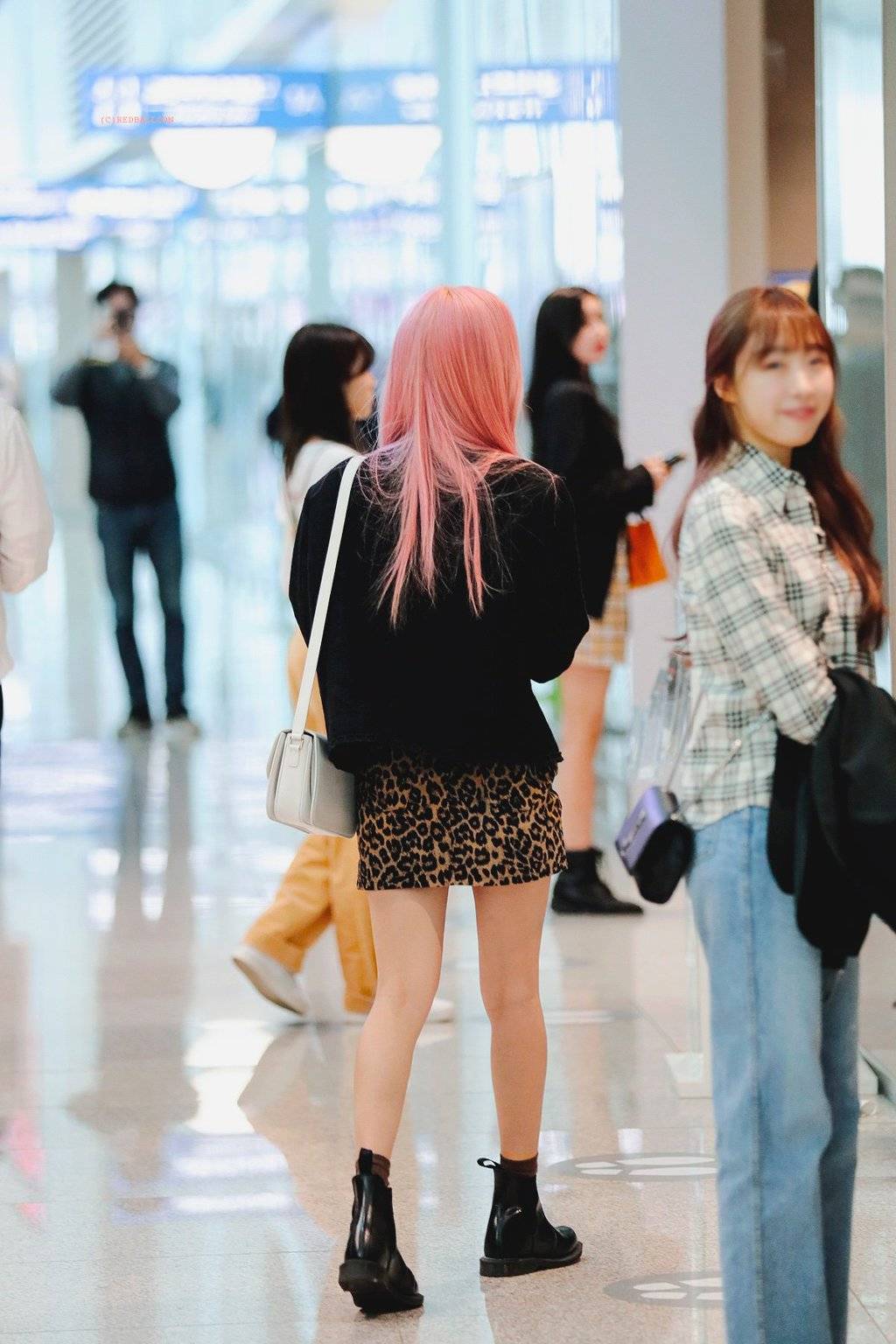 핑크머리 보나.jpg | 인스티즈