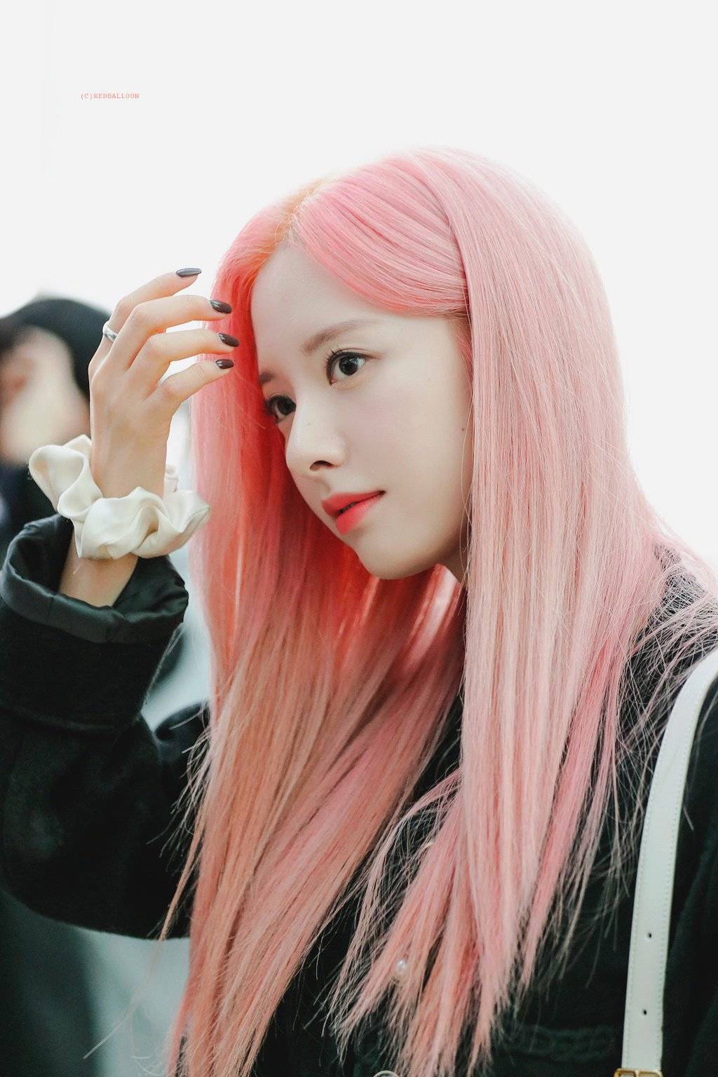핑크머리 보나.jpg | 인스티즈