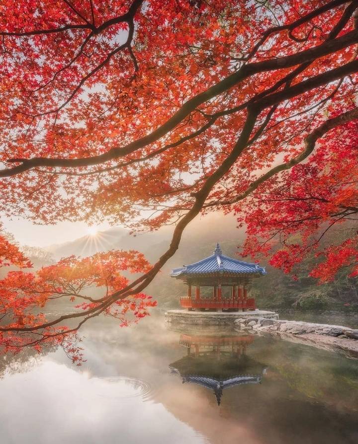 어느 외국인 사진작가가 찍은 한국의 자연 | 인스티즈