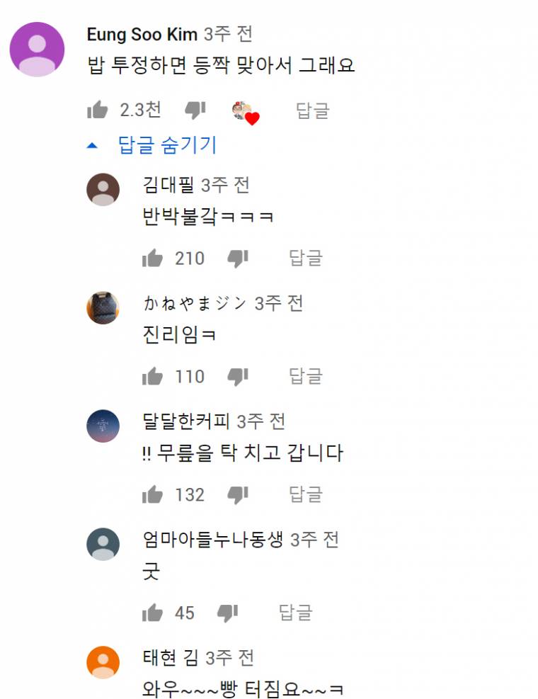 도대체 왜 한국인은 알레르기가 없죠?! | 인스티즈