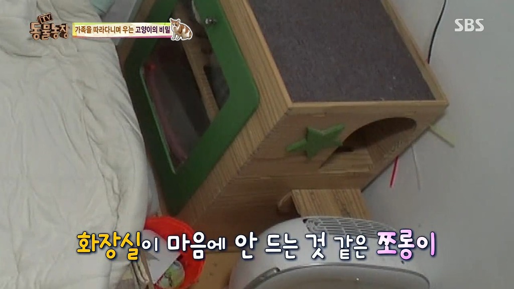 [동물농장] 존트 할말 다 하고 사는 수다쟁이 고양이 쪼롱이ㅋㅋㅋㅋ.jpg | 인스티즈