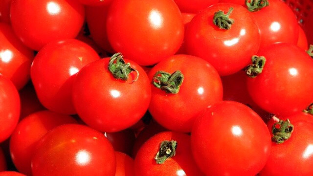 호불호 많이 갈리는 음식 | 인스티즈