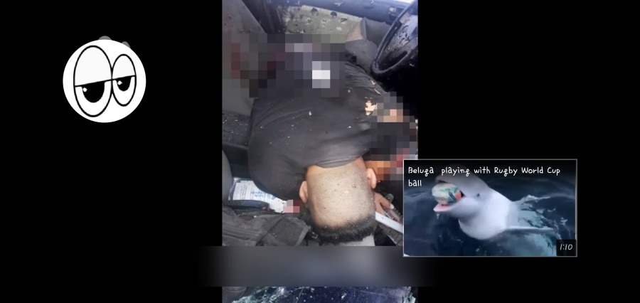 멕시코 마약왕 구즈만의 아들을 체포한 경찰의 최후 (혐오주의) | 인스티즈