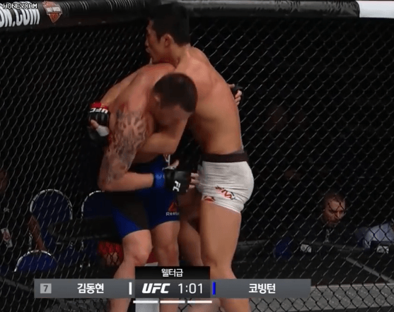 전성기 김동현이면 하빕 잡을 수 있다 VS 힘들다 | 인스티즈