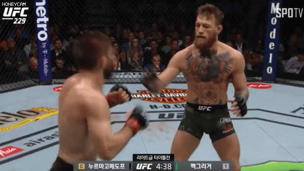 전성기 김동현이면 하빕 잡을 수 있다 VS 힘들다 | 인스티즈