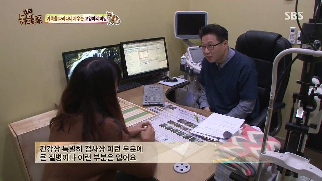 [동물농장] 존트 할말 다 하고 사는 수다쟁이 고양이 쪼롱이ㅋㅋㅋㅋ.jpg | 인스티즈