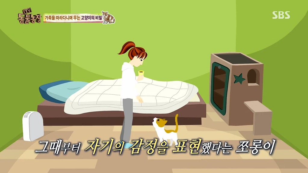 [동물농장] 존트 할말 다 하고 사는 수다쟁이 고양이 쪼롱이ㅋㅋㅋㅋ.jpg | 인스티즈