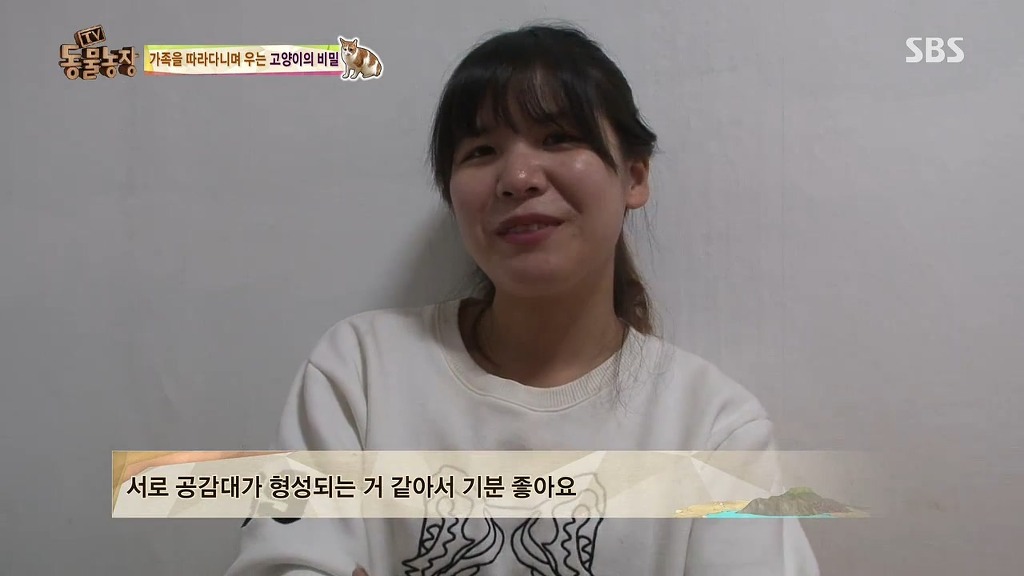 [동물농장] 존트 할말 다 하고 사는 수다쟁이 고양이 쪼롱이ㅋㅋㅋㅋ.jpg | 인스티즈