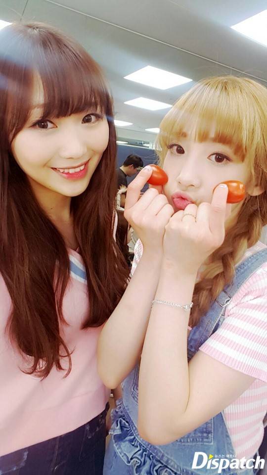 [스타캐스트] "휴대폰을 털어라"...러블리즈, 운명의 컴백셀카 | 인스티즈