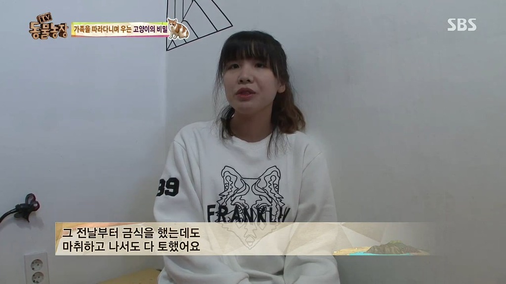 [동물농장] 존트 할말 다 하고 사는 수다쟁이 고양이 쪼롱이ㅋㅋㅋㅋ.jpg | 인스티즈