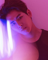 호야