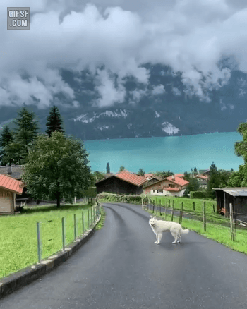스위스의 어느 호수 마을 | 인스티즈