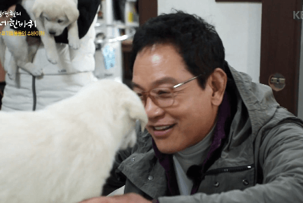 공중파 역대급 강아지 귀요미 | 인스티즈