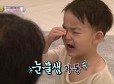 작아진 소을누나보고 눈물흘리는 다을이.jpg | 인스티즈