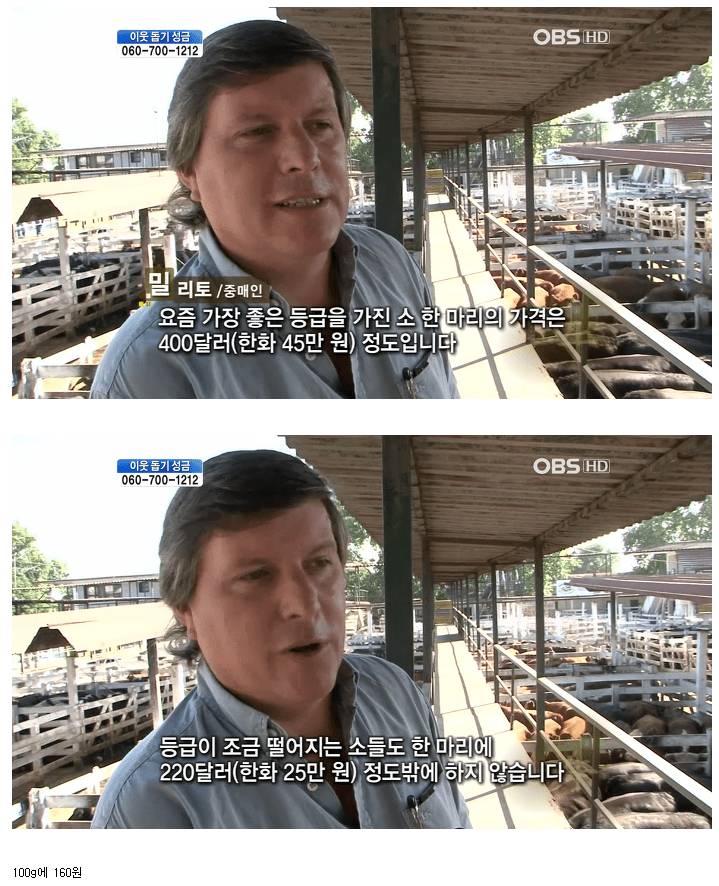 맛만 따지면 소고기 vs 돼지고기 | 인스티즈