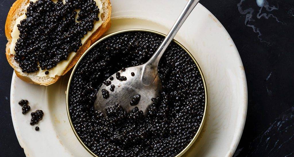 음식 캐비아 Caviar | 인스티즈