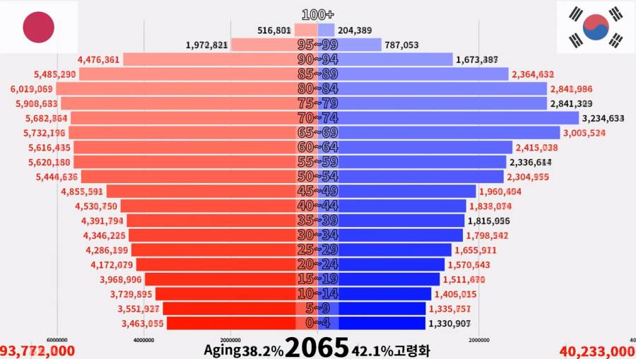 2060년 한국 일본 인구 피라미드 | 인스티즈