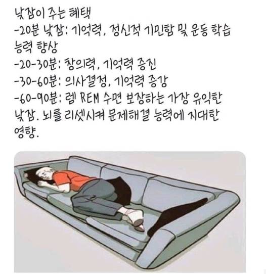 낮잠이 주는 혜택.jpg | 인스티즈