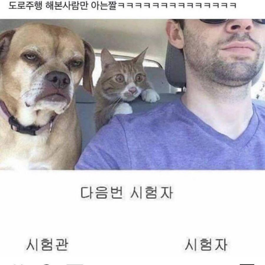 도로주행 하는 사람 특징 | 인스티즈