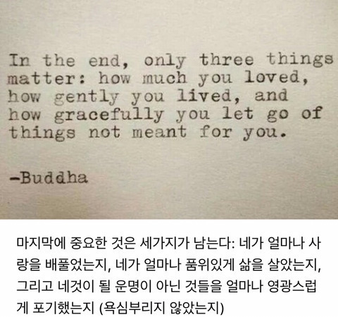 어떤 사건이 터질때마다 읽는 글귀들 | 인스티즈