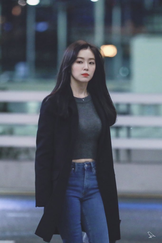 2019 AAA 레드벨벳 아이린(+출입국사진).jpgif | 인스티즈