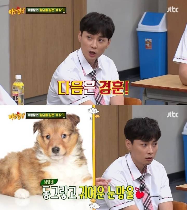 [아는형님] 멤버들 닮은 개 찾기 | 인스티즈