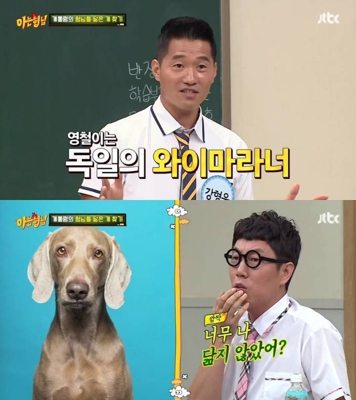 [아는형님] 멤버들 닮은 개 찾기 | 인스티즈