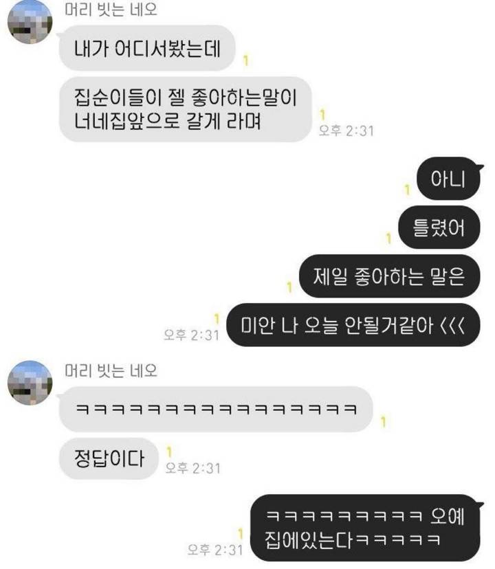 집순이들이 제일 좋아하는 말.jpg | 인스티즈