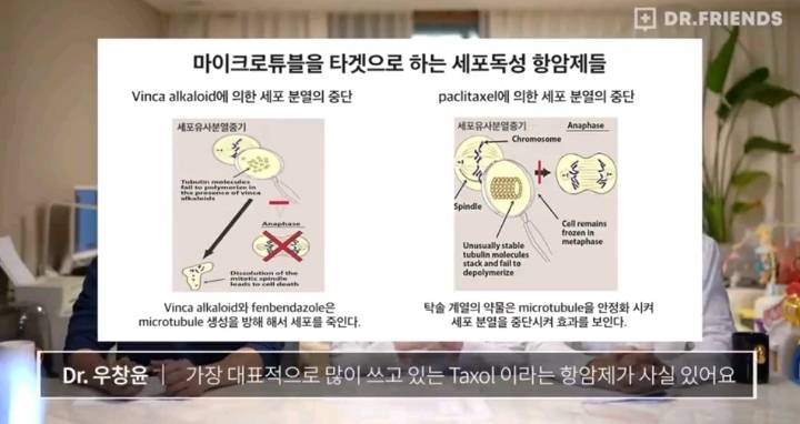 의사들이 말하는 펜벤다졸 | 인스티즈