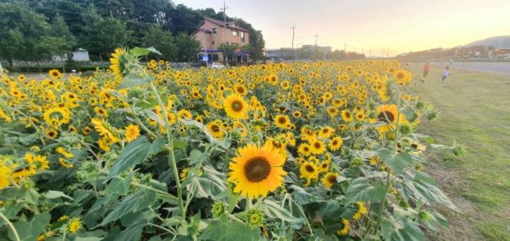 갤럭시 10이 보는 제천 | 인스티즈