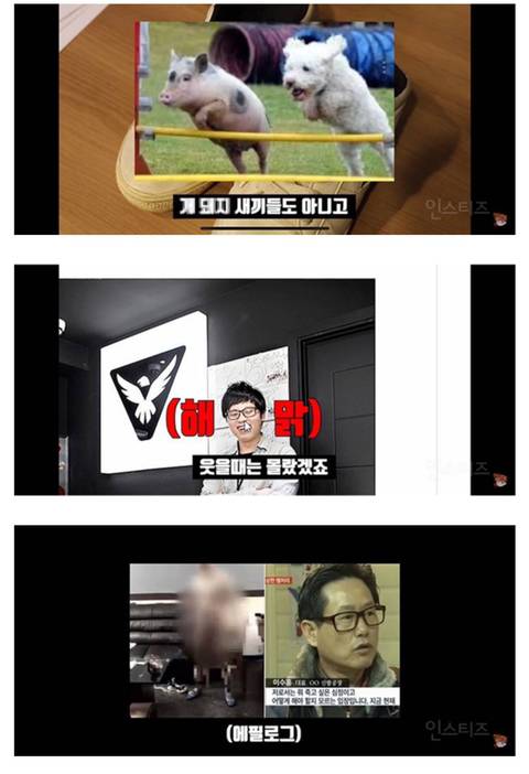 스베누 대표가 직접 하는 악플 읽기 ㅋㅋㅋ (feat.마지막개반전) | 인스티즈