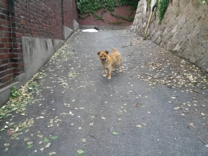 여대생의 일상.manhwa | 인스티즈