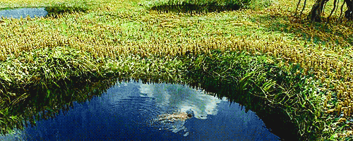 많은 사람들이 극장에서 보지 못한걸 후회하는 영화 | 인스티즈