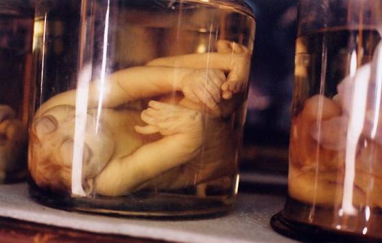 세계에서 가장 무서운 곳 TOP 13 | 인스티즈