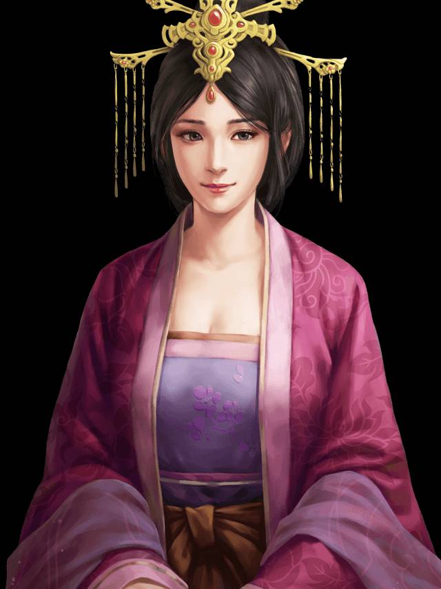 코에이 삼국지 14 네임드 무장 49인 일러스트 | 인스티즈