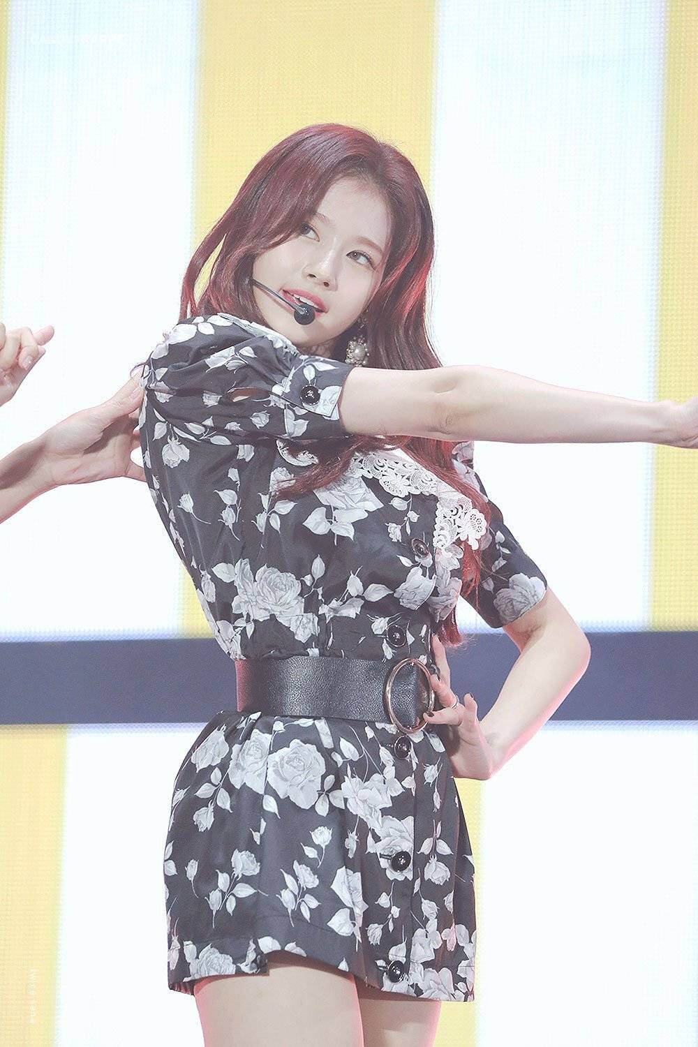 주말에 보는 사나.jpgif | 인스티즈