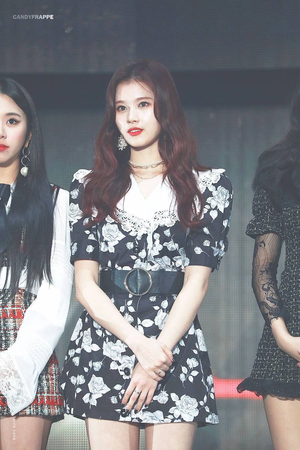 주말에 보는 사나.jpgif | 인스티즈