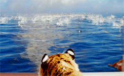 많은 사람들이 극장에서 보지 못한걸 후회하는 영화 | 인스티즈