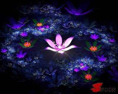 선인장 꽃 | 인스티즈