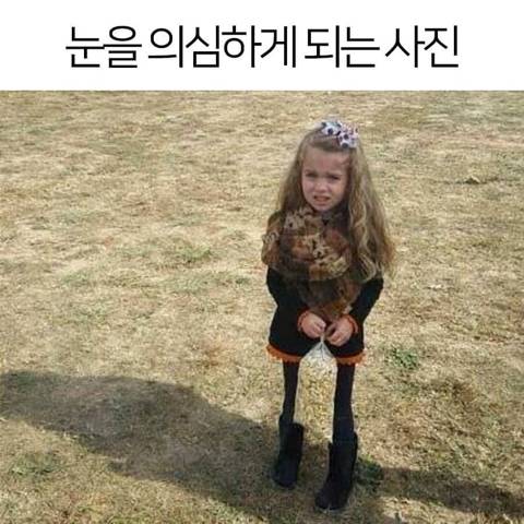 눈을 의심하게 되는 사진 | 인스티즈